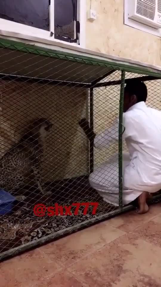 funny|prank|jokes|funny jokes|dad jokes|funny memes|funny video|fun|laughing|funny animal|knock