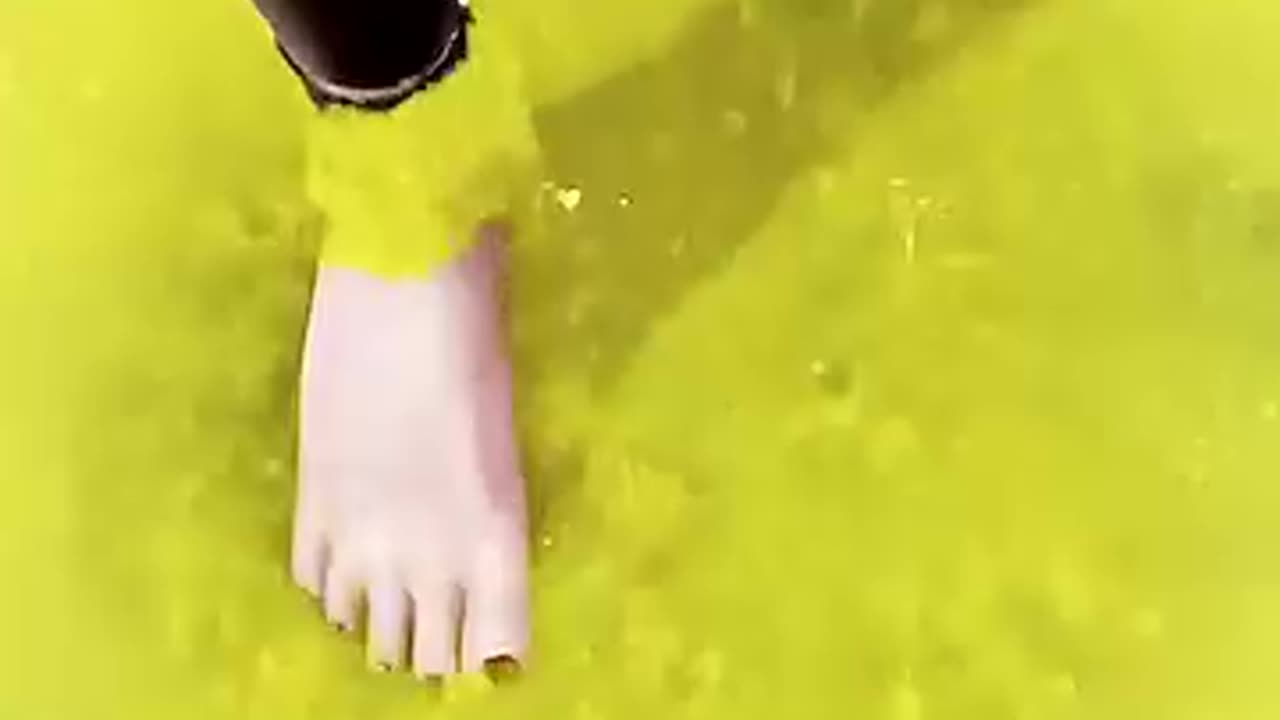 Must see
