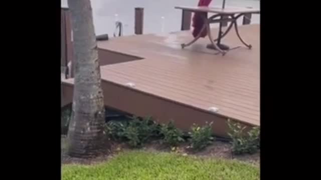 Try not to laugh