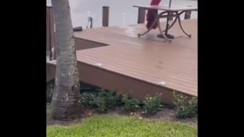 Try not to laugh
