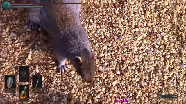 Gansta squirrel plays cute until strikes.