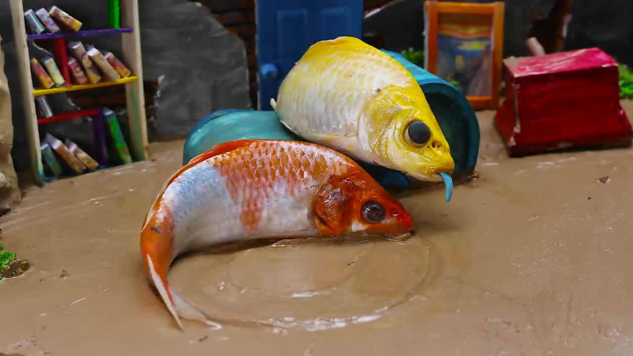 Membersihkan bebek 2 Ikan Mas Dan Ikan Koi Warna-warni _ Stop Motion Lucu ASMR _ Penghianatan Cinta