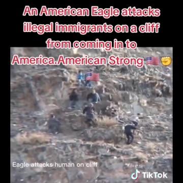 A Bald Eagle attacks illegals sneaking in to America