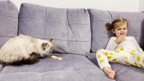 Cute_Baby_Sharing_Food_With_a_Cat