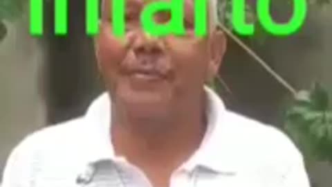 Folha de Mamao