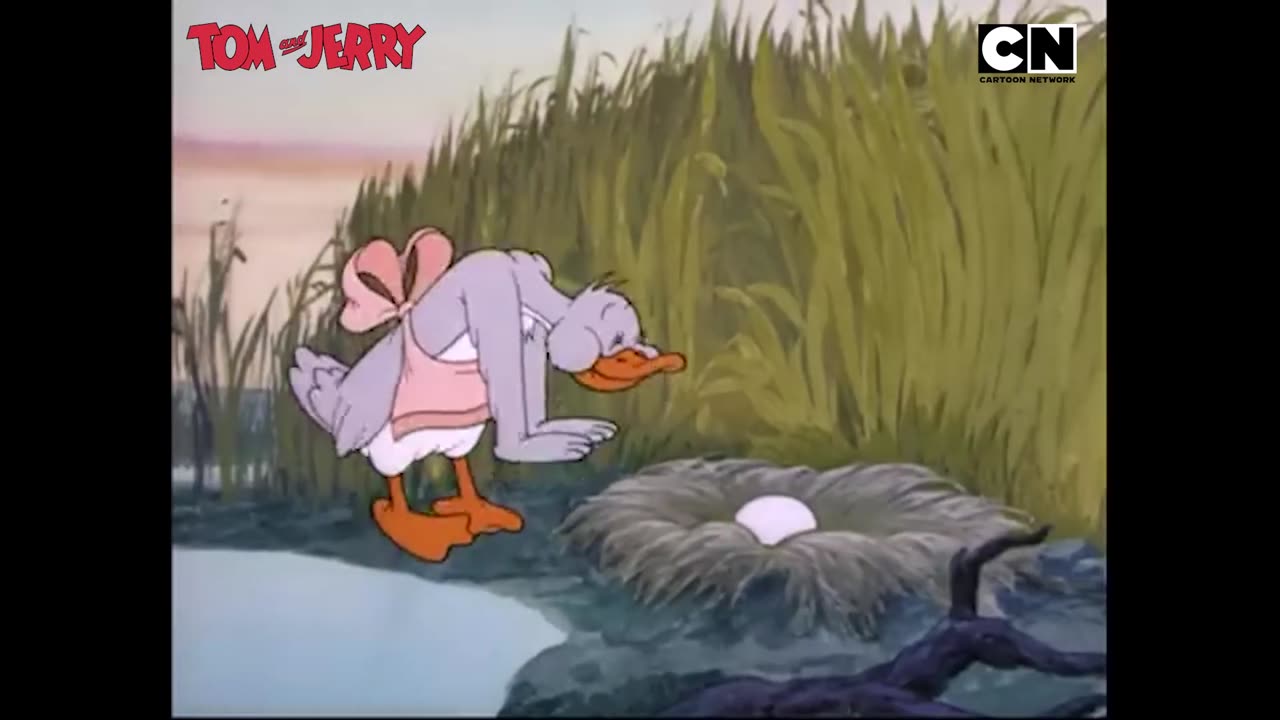 Tom and Jerry