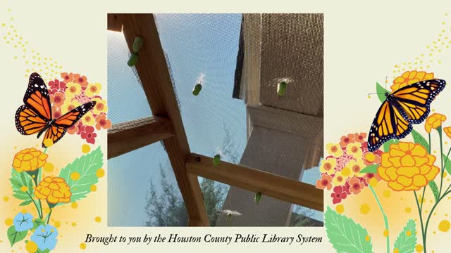 Janet Sayre Butterfly Garden