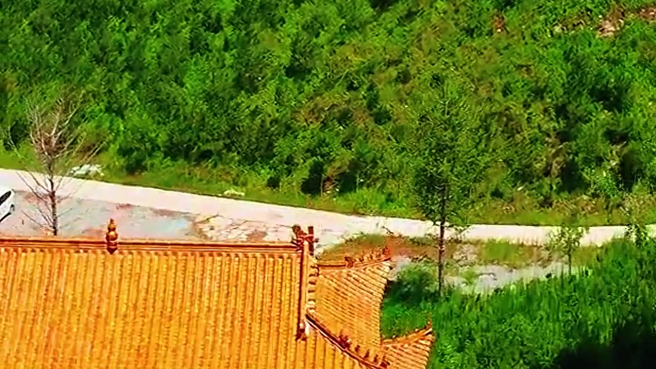 Forgiveness 🇦🇺