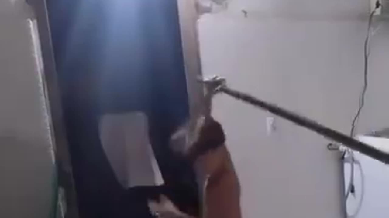 Funny, very funny