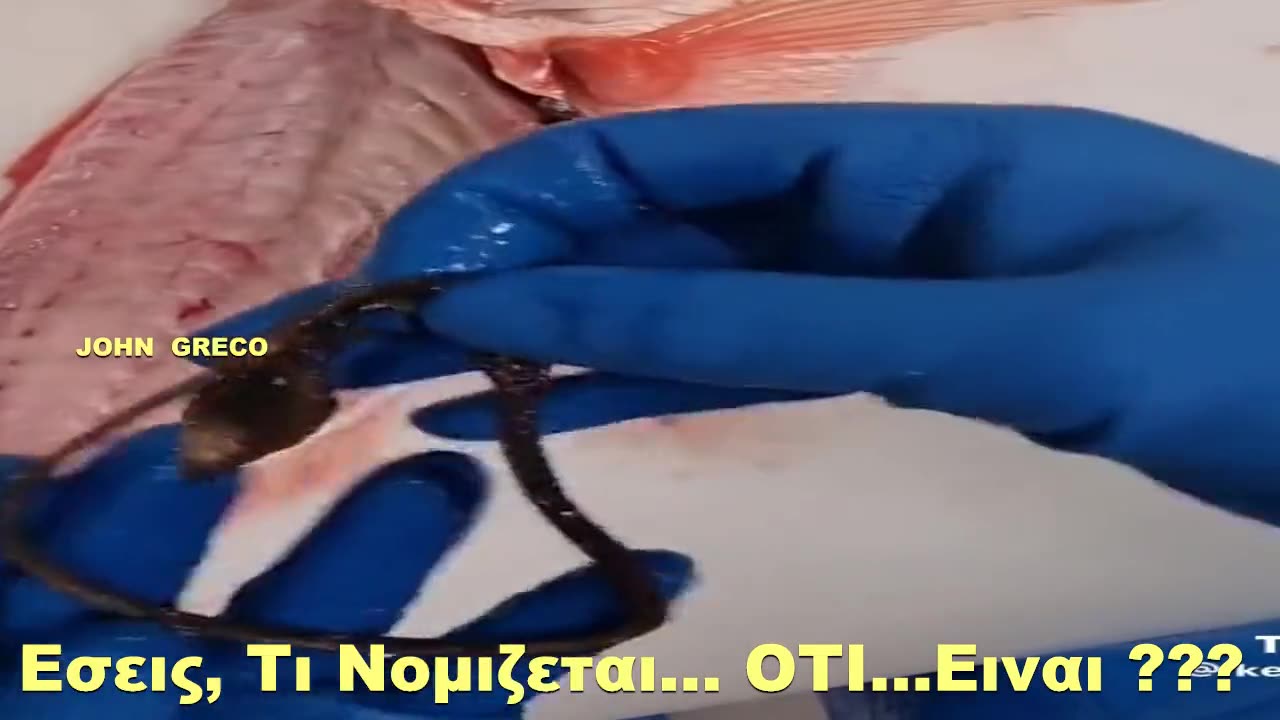 Τι... #Νομιζετε... Οτι... Ειναι ???🧐😳