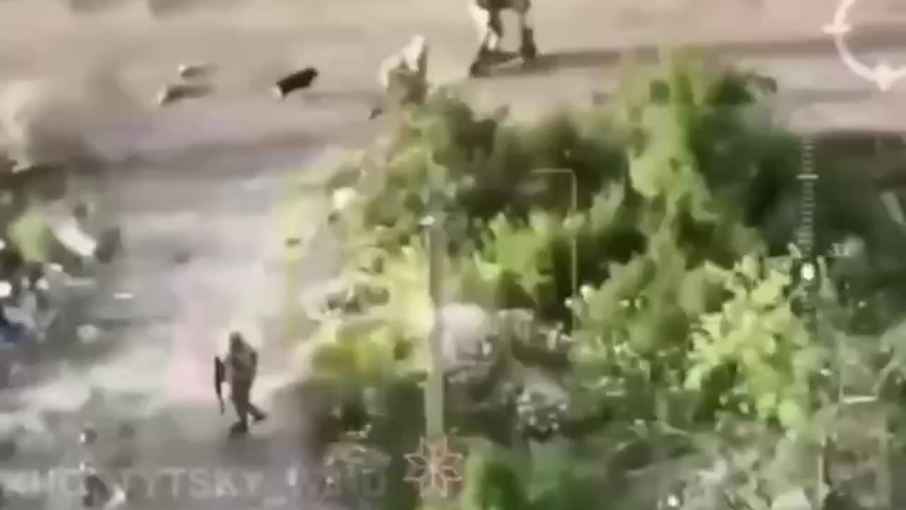 Stray Dog Chases Fleeing Russians on Scooters