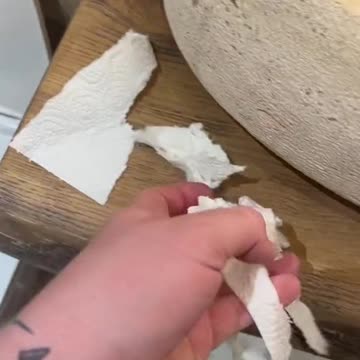 funny|prank|jokes|funny jokes|dad jokes|funny memes|funny video|fun|laughing|funny animal|knock