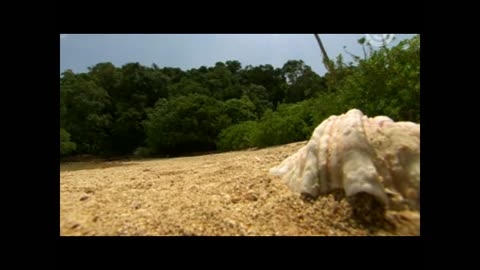 Robinson S08E39
