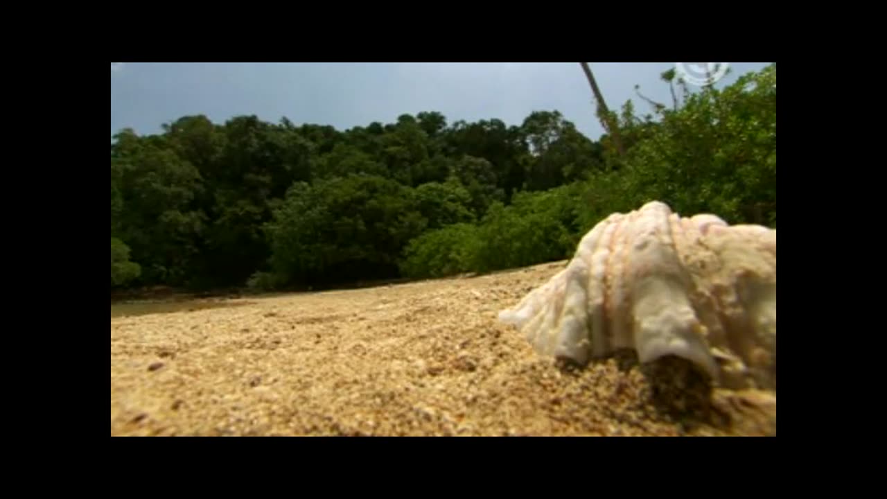 Robinson S08E39