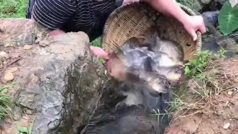 The best fisherman