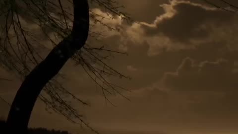 Beauty of Nature