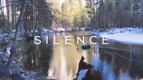 SILANCE -historia ofiar szczypawek na SROVIDA 😢