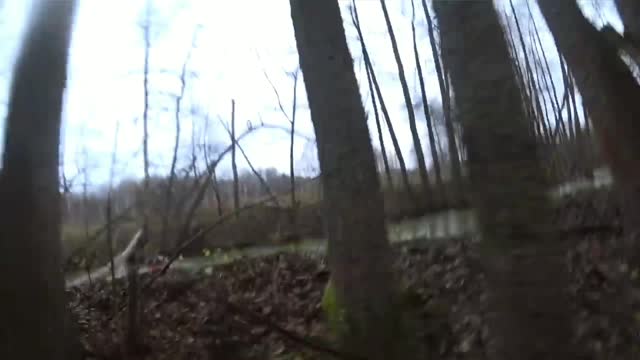 Unexpected fall in the swamp!