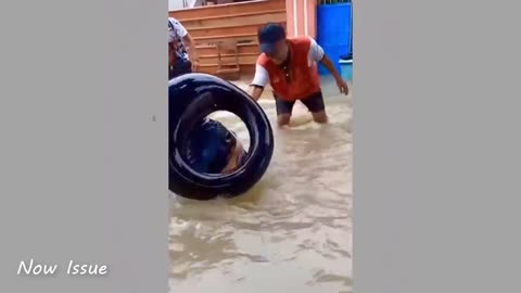Too Amazing Moments Caught Camera -Just for Fun