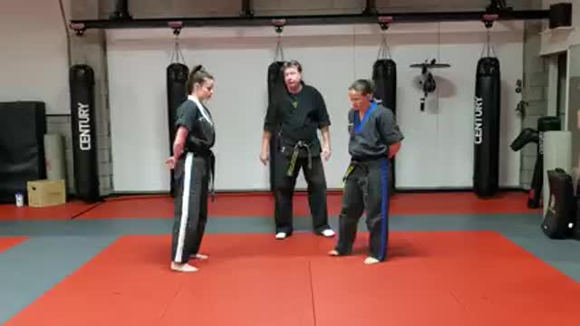 Hapkido