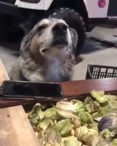 Just chilling with the Music..😎😎