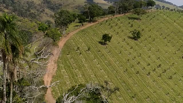 rural work in Brazil