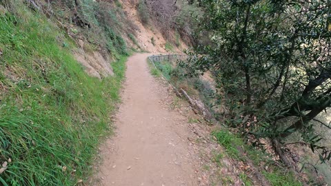 Mount Wilson trail