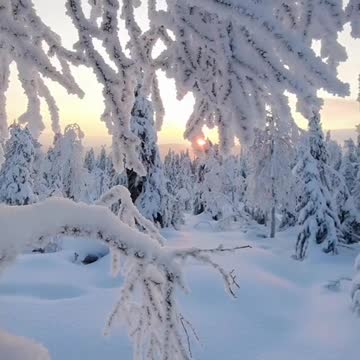 Winter wonderland in Finland