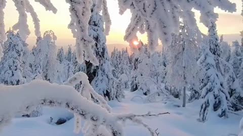 Winter wonderland in Finland