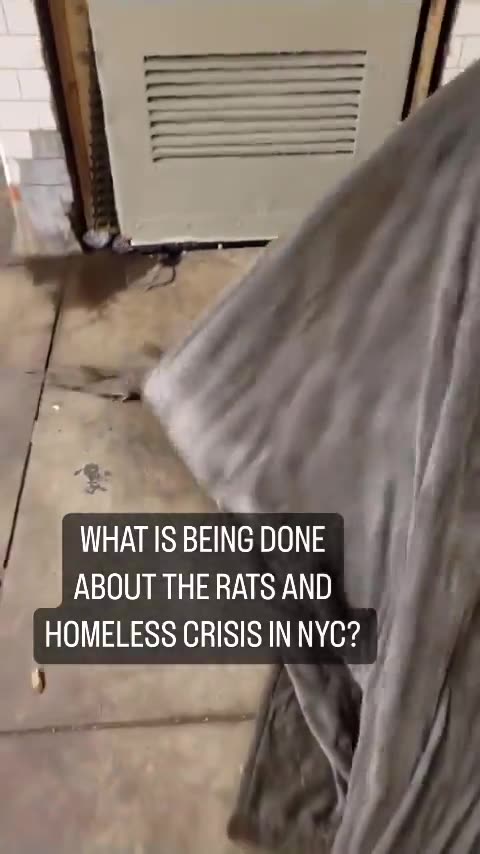 Rats In NYC - What Is Being Done About The Rats And Homeless Crisis In NYC