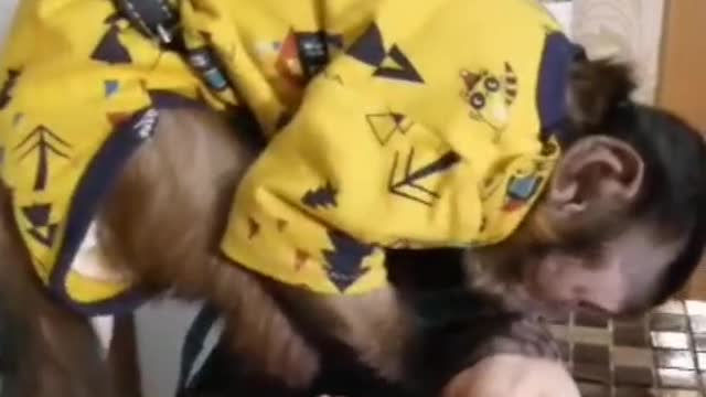 Мирон и йогурт