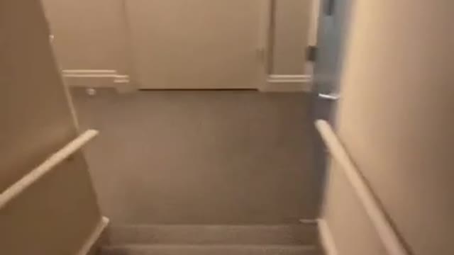 Run Run! Run!