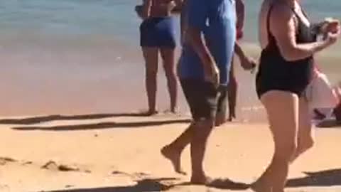 Dog climbs on top of owner while they are walking in the beach