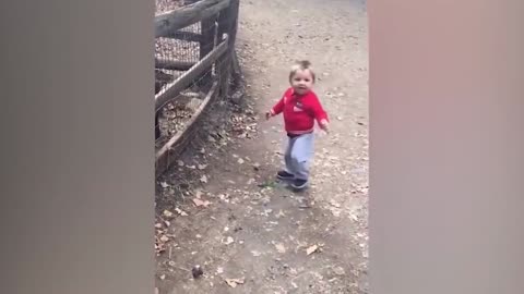 very funny video with children and animals #11