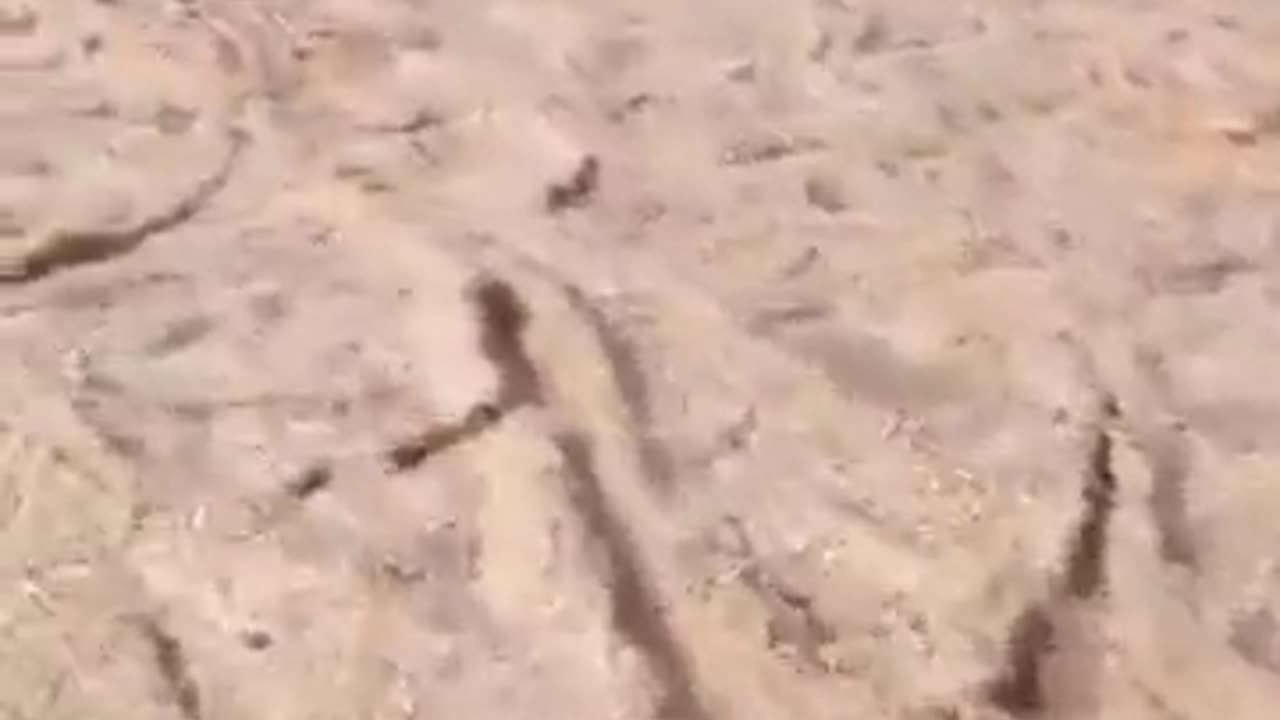 River of sand in Saudi Arabia