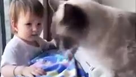 Iam sorry cat 🥺#cat