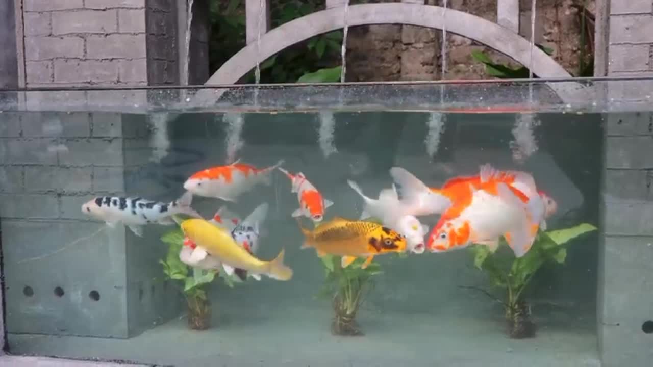 Designer Outdoor Water Fountain - DIY Aquarium Landscape Curved Bridge Design Ideas