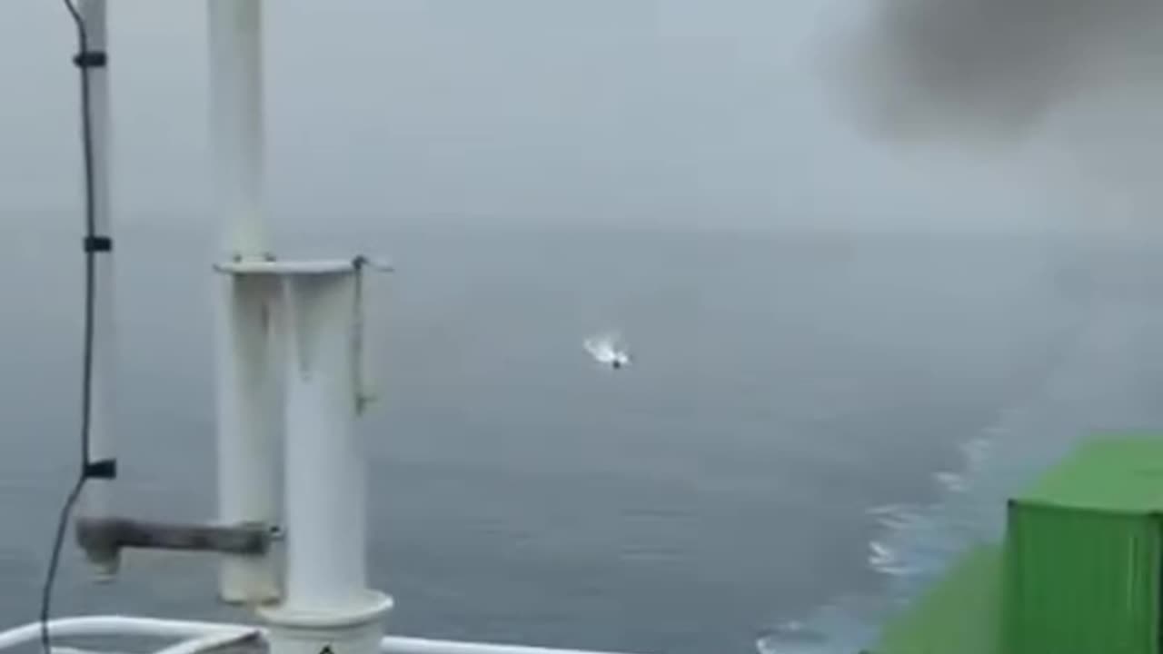 How pirates are dealt with..😶