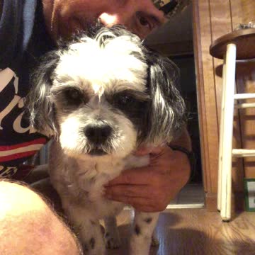 Okay Daddy I Know You Love Me!