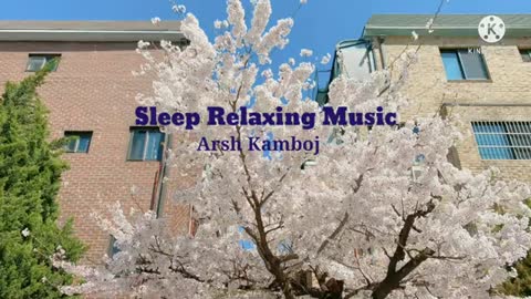 Relaxing Music | Sleeping, Meditation, Stress Relief | [739] ⭐️