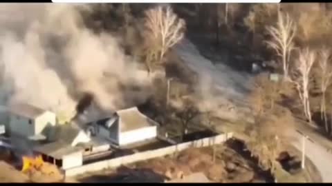 Running For Cover As Their Lives Depend On It