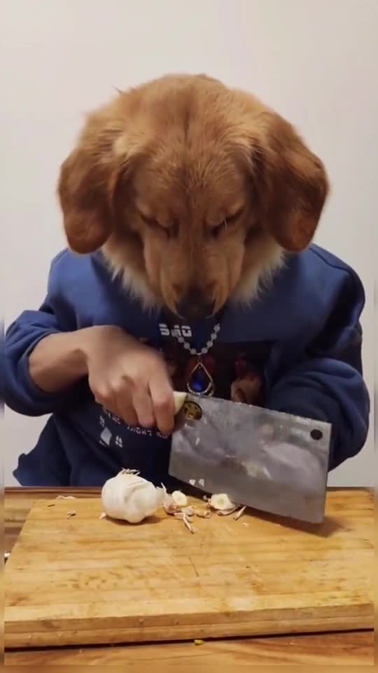 Dang it, I ate all the food while making it, AGAIN!