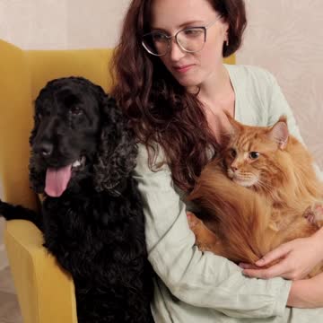 Cat & Dog with girl