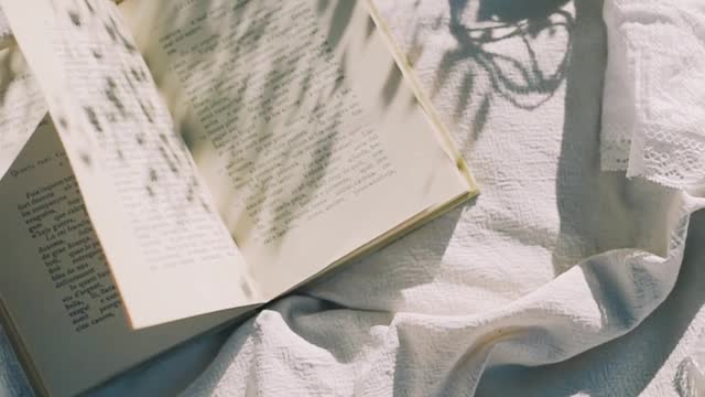 book-and-clips-on-the-picnic-blanket