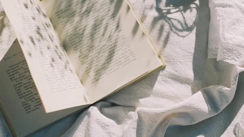 book-and-clips-on-the-picnic-blanket