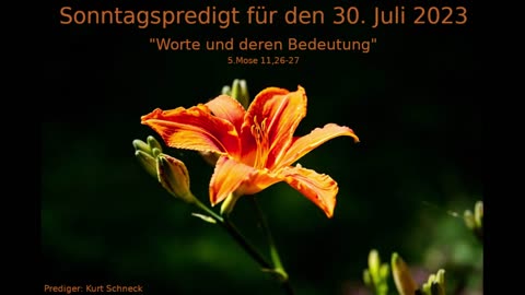 Sonntagspredigt für den 30. Juli 2023