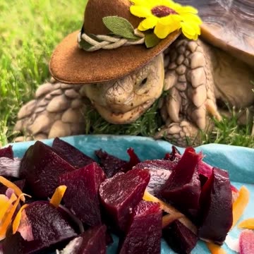 Larry Beets the Heat! Flower Cowboy!