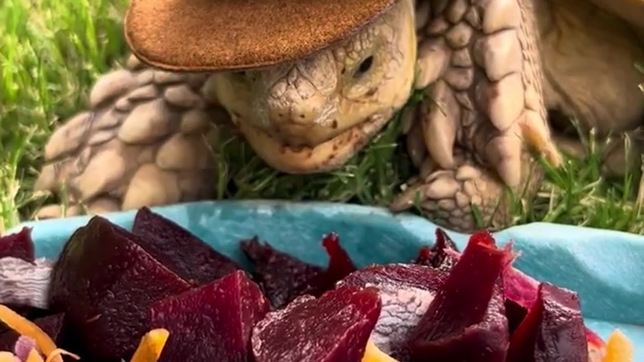 Larry Beets the Heat! Flower Cowboy!