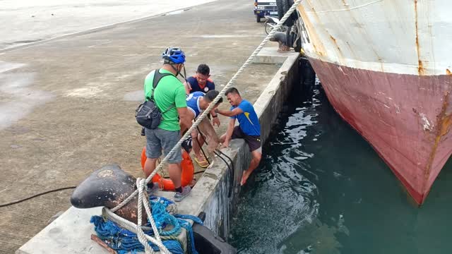 Coast Guard Rescue Doggy in Distress