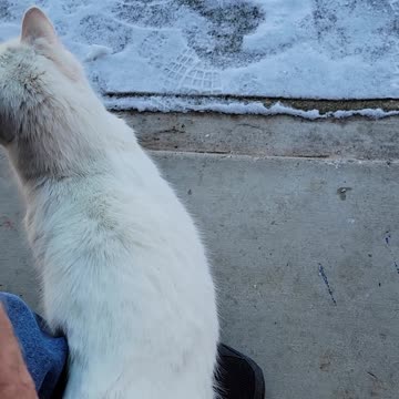 Snowman doesn't like the snow